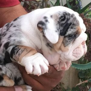 Meet your Posher, Lourdes